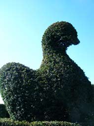 Felley Priory 6-3-12